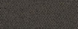 076 Fossil