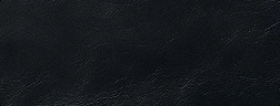 9893 Black